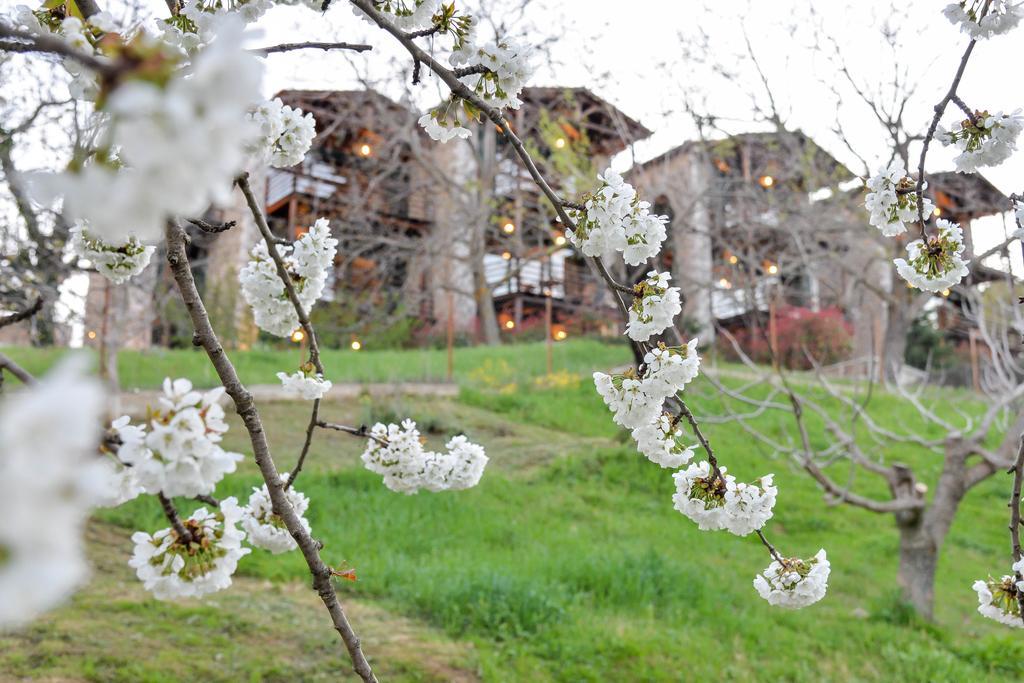 Vathyskia Guesthouse Kato Sinikia Trikalon Exterior foto